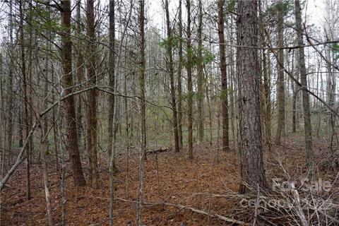 9 Ac Burree Rd, Clover, SC 29710 photo 9