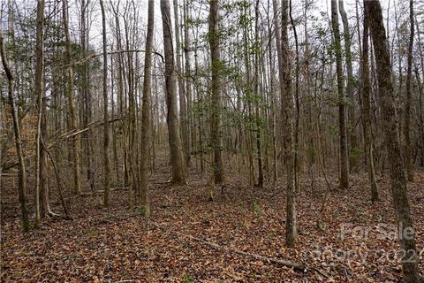 9 Ac Burree Rd, Clover, SC 29710 photo 29