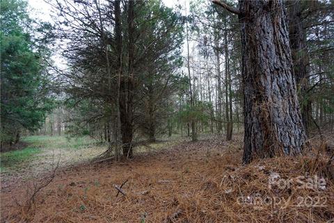 9 Ac Burree Rd, Clover, SC 29710 photo 7