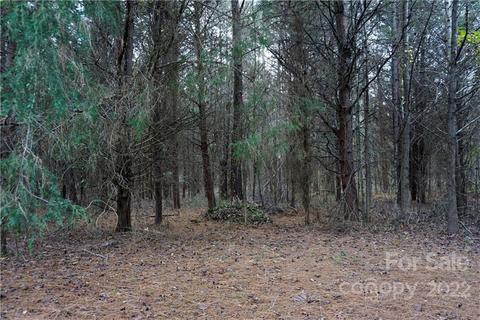 9 Ac Burree Rd, Clover, SC 29710 photo 15