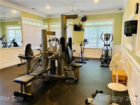 15509 Crossing Gate Dr, Cornelius, NC 28031 photo 19