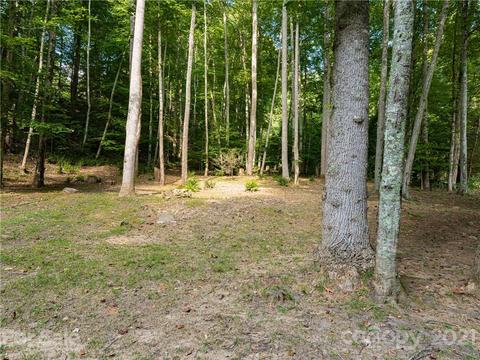 34 Boxturtle Rd, Candler, NC 28715 photo 39