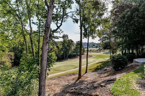 18825 River Falls Dr, Davidson, NC 28036 photo 14