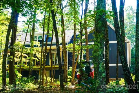 85 Falling Leaf Ln, Saluda, NC 28773 photo 5
