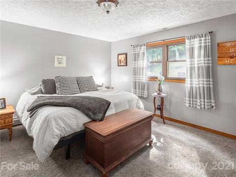 46 Loop Rd, Clyde, NC 28721 photo 16