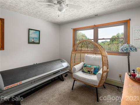 46 Loop Rd, Clyde, NC 28721 photo 20