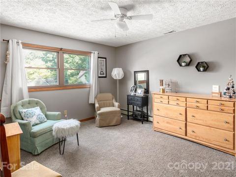 46 Loop Rd, Clyde, NC 28721 photo 18