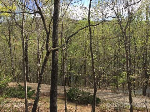 219 Lake View Dr, Tryon, NC 28782 photo 21