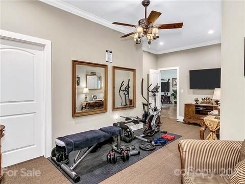3 Bards Ln, Fletcher, NC 28732 photo 30