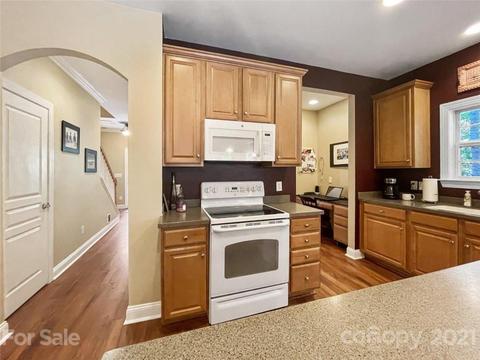 9729 Willow Leaf Ln, Cornelius, NC 28031 photo 8