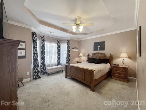 9729 Willow Leaf Ln, Cornelius, NC 28031 photo 19