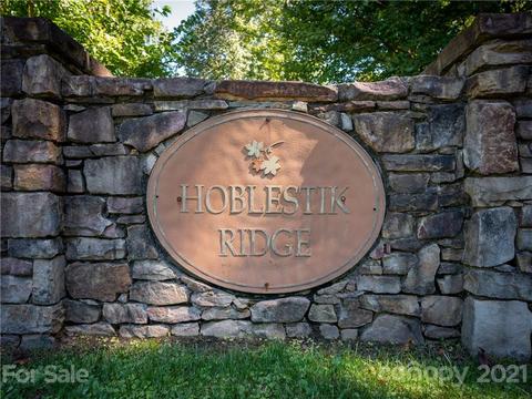 126 Falling Leaf Ln, Saluda, NC 28773 photo 48