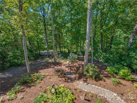 126 Falling Leaf Ln, Saluda, NC 28773 photo 38