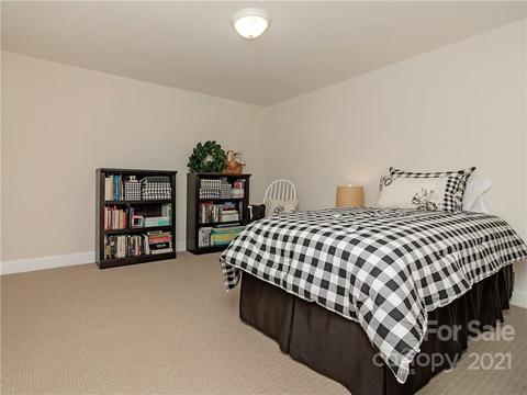 357 Delphia Dr, Brevard, NC 28712 photo 36