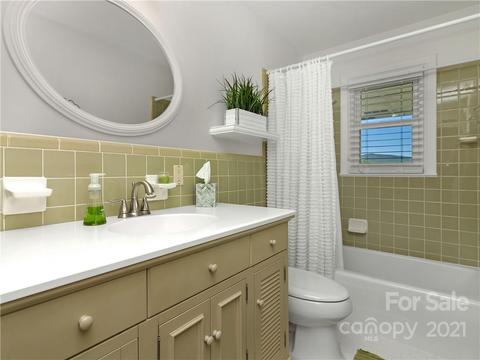 357 Delphia Dr, Brevard, NC 28712 photo 30