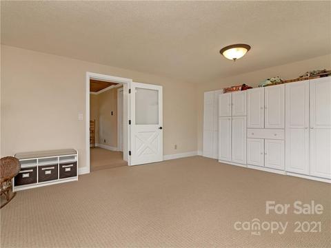 357 Delphia Dr, Brevard, NC 28712 photo 39