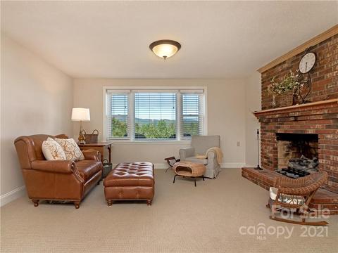 357 Delphia Dr, Brevard, NC 28712 photo 38