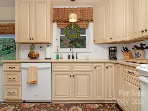 357 Delphia Dr, Brevard, NC 28712 photo 29