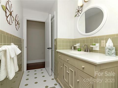 357 Delphia Dr, Brevard, NC 28712 photo 31