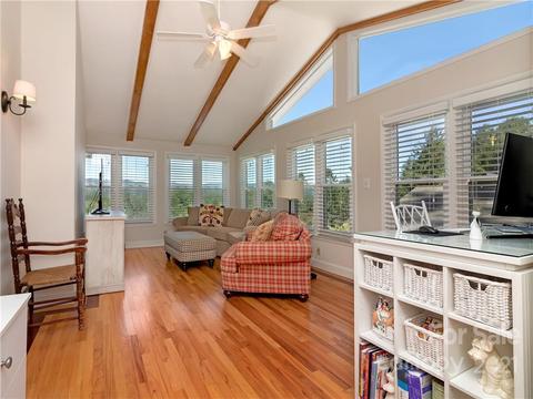 357 Delphia Dr, Brevard, NC 28712 photo 18