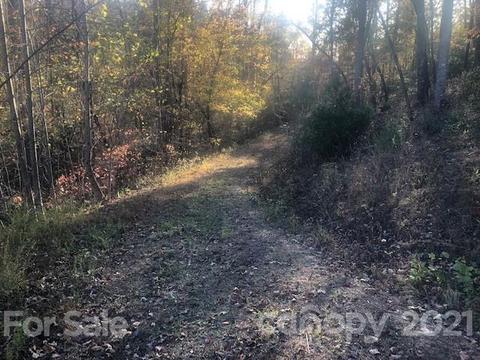 25 Mountain Pkwy, Mill Spring, NC 28756 photo 1