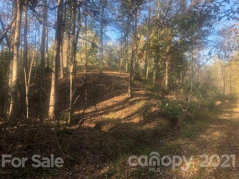 25 Mountain Pkwy, Mill Spring, NC 28756 photo 2