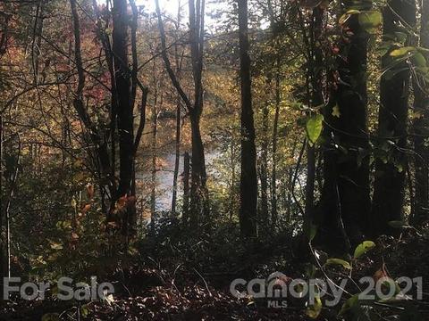 25 Mountain Pkwy, Mill Spring, NC 28756 photo 4