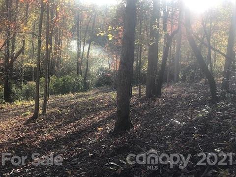 25 Mountain Pkwy, Mill Spring, NC 28756 photo 3