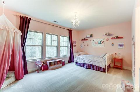 6099 Chimney Bluff Rd, Lancaster, SC 29720 photo 42