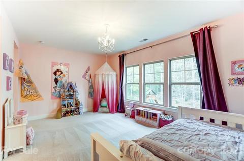 6099 Chimney Bluff Rd, Lancaster, SC 29720 photo 43