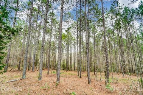 6099 Chimney Bluff Rd, Lancaster, SC 29720 photo 48