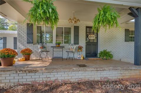 455 Sandy Plains Rd, Tryon, NC 28782 photo 3