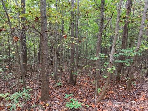 9340 Phelps Rd, Mount Pleasant, NC 28124 photo 3
