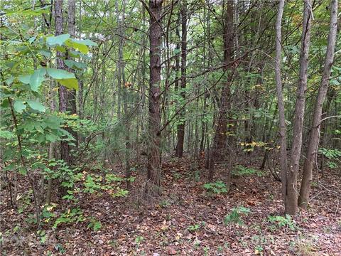 9340 Phelps Rd, Mount Pleasant, NC 28124 photo 4
