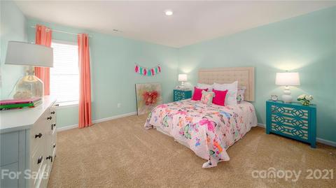 242 Final Stretch Ln, Clover, SC 29710 photo 46