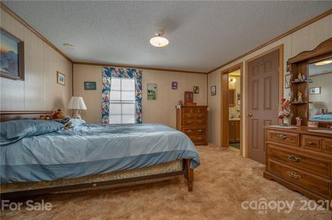 1350 Mcentire Rd, Tryon, NC 28782 photo 17