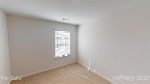 217 Final Stretch Ln, Clover, SC 29710 photo 17