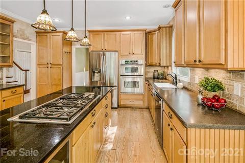 18801 Hammock Ln, Davidson, NC 28036 photo 6