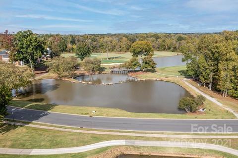 18242 River Ford Dr, Davidson, NC 28036 photo 33