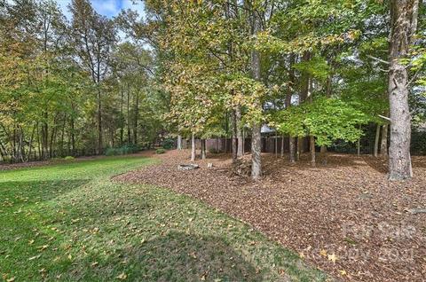 9303 Peachway Dr, Cornelius, NC 28031 photo 43