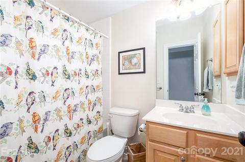 129 Ohenry Ave, Davidson, NC 28036 photo 35