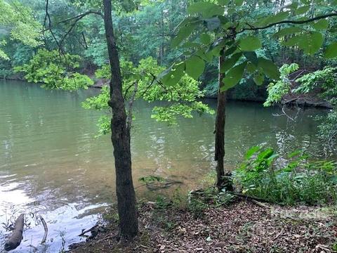 81 Brightwood Court #81, Norwood, NC 28128