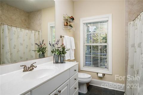 115 Caldwell Ln, Davidson, NC 28036 photo 20