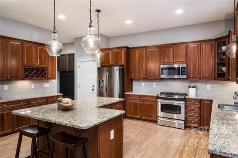 17210 Summers Walk Blvd, Davidson, NC 28036 photo 22