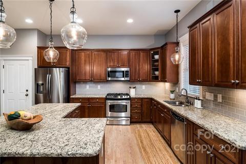 17210 Summers Walk Blvd, Davidson, NC 28036 photo 21