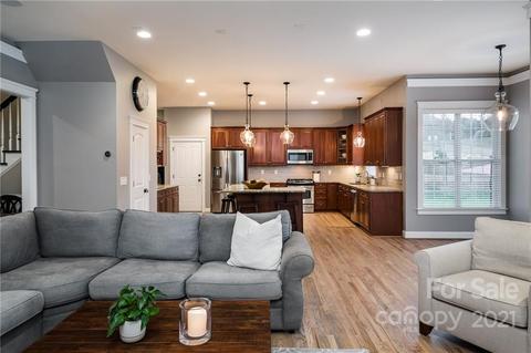 17210 Summers Walk Blvd, Davidson, NC 28036 photo 15