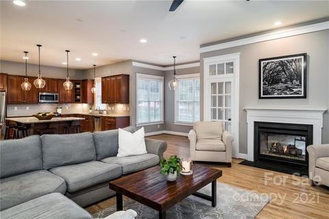17210 Summers Walk Blvd, Davidson, NC 28036 photo 14