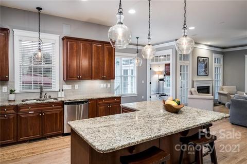 17210 Summers Walk Blvd, Davidson, NC 28036 photo 24