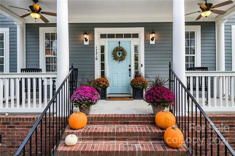 17210 Summers Walk Blvd, Davidson, NC 28036 photo 3
