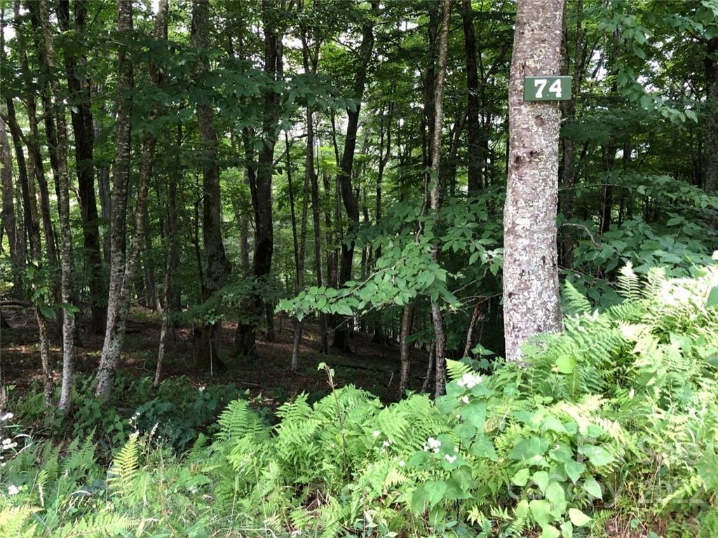 74 May Apple Ln Unit 74  